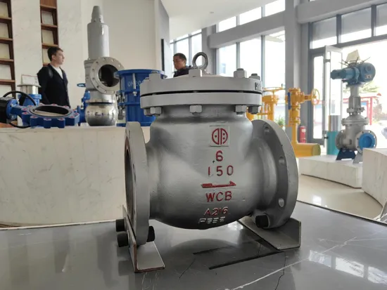 API Casting Wcb Cast Steel Swing Flange Check Valve